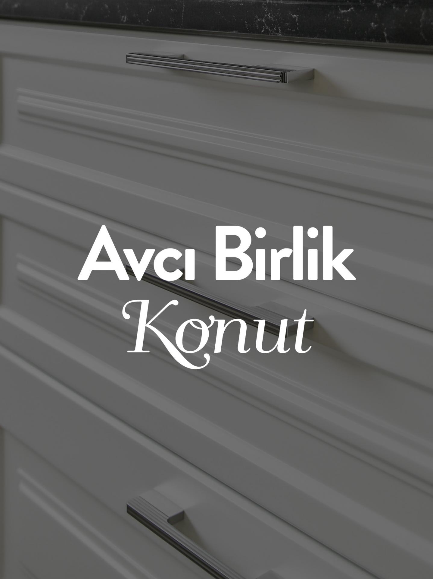 AVCI BİRLİK KONUT — 1